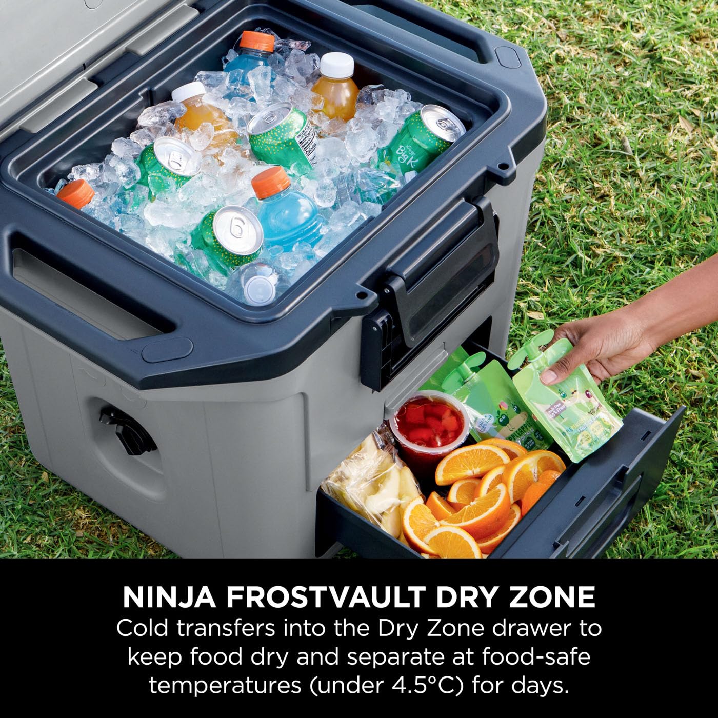 Ninja FrostVault Hard Cooler 30qt/28L, Premium Heavy-Duty Insulated Cool Box