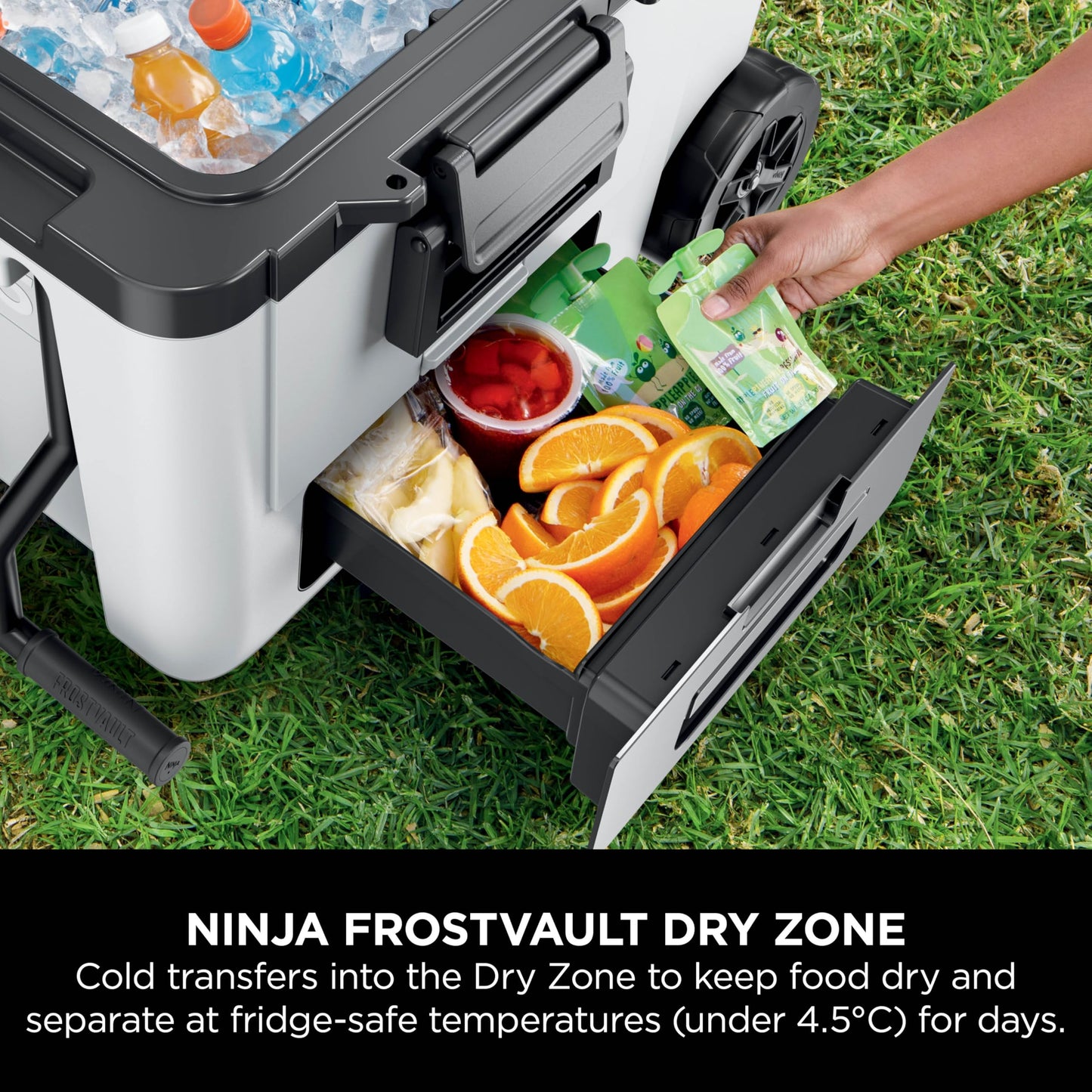 Ninja FrostVault Heavy-Duty Insulated Cool Box, Wheeled Premium Cooler